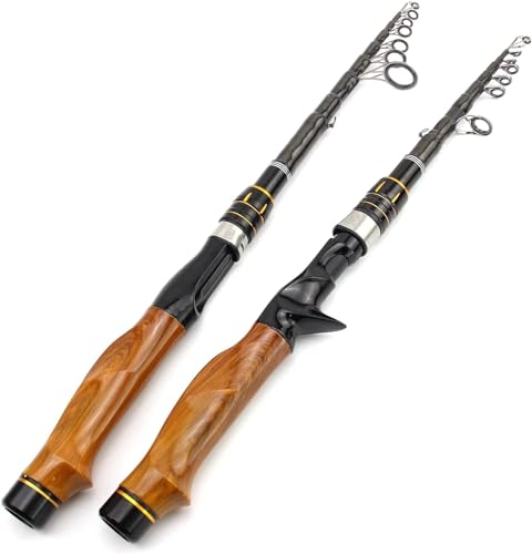 Cannes à pêche télescopiques spinning et casting de 2.4 m pour voyage