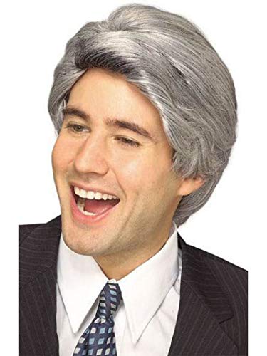 Rubie's Late Night Host Character Wig, Gray, One Size