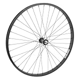 Wheel Master Front 26 x 1.75/2.125, WEI-AS7X Black 3/8, 14g Blk SS Spokes, 36H