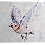 037 - Flying Birds