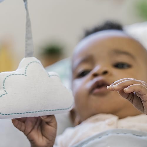 Ingenuity Vibrating Baby Bouncer Seat for 0-6 Months (Goji)