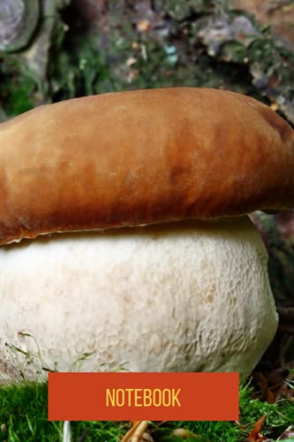 Recopilación y reviews de Boletus los diez mejores. 22 Boletus Notebook: blank lined composition journal | Boletus notebook | 100 pages