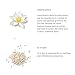 RITUALS The RITUALS of Dao Body Scrub