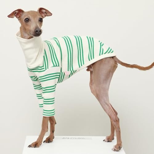 D DOGGY STAR C^O XgCv TVc C^A O[nEh xhgeA EBybg hbO EFA (, XL)