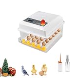 🐔 【Gran capacidad, humedad ajustable】 Las mini incubadoras de huevos pueden incubar 16 huevos de gallina y tienen 1 lavabo para un buen ajuste de la humedad.