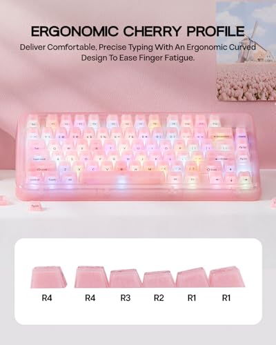 Image of EPOMAKER Frost Jelly Keycaps Set, 126 Keys Forged Carbon Fiber Keycaps | Cherry Profile, ABS+PC, MX-Style Compatible for 61 /68 /84 /87 /98 /100 /104 /108 ANSI Layout Mechanical Gaming Keyboards (Pink)