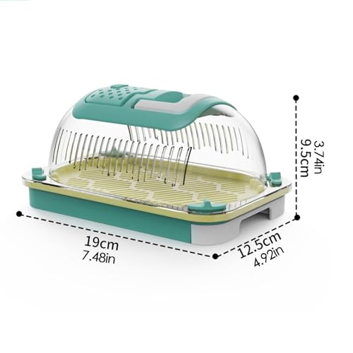 CAGA DE LIZARD PORTÁVEL, Caixas de criador de répteis,Gabinete de réptil portátil respirável - Camal