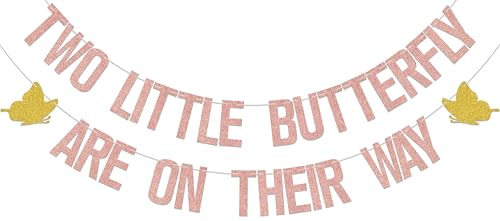 Two Little Butterfly Are On Their Way Banner,Twins Girl Butterfly