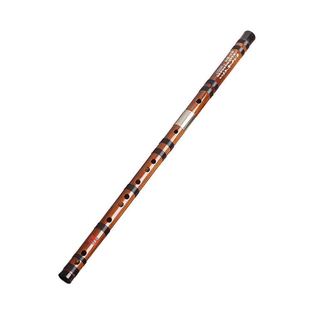 HCZKIUJY Bitter Bamboo Flute Suitable for Beginners/Professional Exams, Folk Tune Wind Instrument, Transverse Flute with Storage Bag (#E)