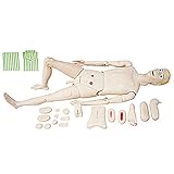 PATIENTENPFLEGE SIMULIEREN: Krankenpflege-Trainingspuppe ist lebensgroß, realistische Flexibilität von Gliedmaßen und Gelenken, verschiedene Positionen sind realisierbar, kann Baden und Umkleiden für Patienten im Bett simulieren