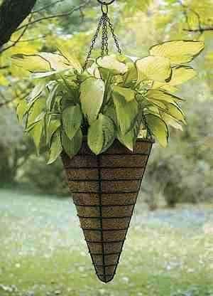 COIR GARDEN Coco Gardening Pots with Stand Conical Hanging Basket, 9 Inch -2 Pieces (Diameter -24 cm, Height -31 cm)