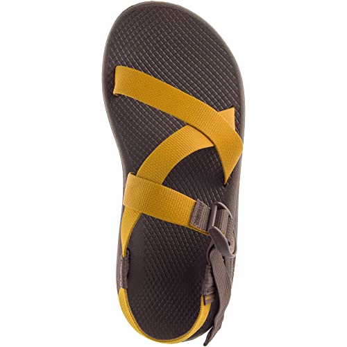 Image of Chaco Men's Z /1 Cloud