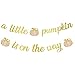 Little Pumpkin Baby Shower Decorations Girl a Little Pumpkin on The Way Banner A Little Pumpkin is On The Way Baby Shower Decorations Pumpkin Baby Shower Banner Lil Pumpkin Baby Shower Decorations