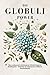Produktbild Die Globuli Power: Eine umfassende Anleitung zur Selbstheilung mit Homöopathie - Entdecke die Geheimnisse effektiver Naturheilmittel