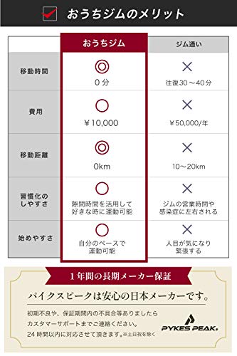 【2022年強化版 PYKES PEAK【公式】 ぶら下がり健康器「国内