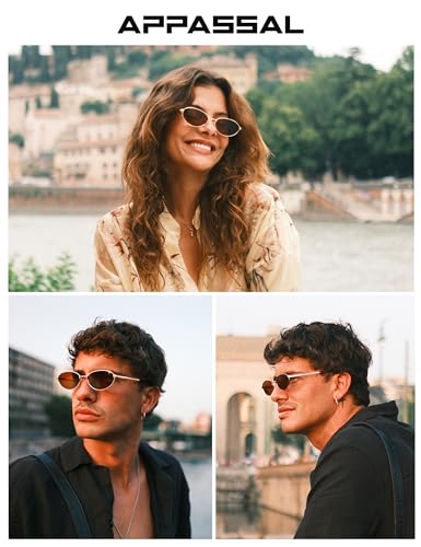 Retro Oval Sunglasses for Women Mens with Spring Hinge Sunnies AP3696