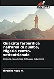 Quarzite ferberitica nell'area di Zumba, Nigeria centro-settentrionale: Geologia e geochimica delle rocce ferberitiche