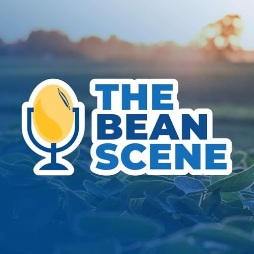 The Bean Scene Titelbild