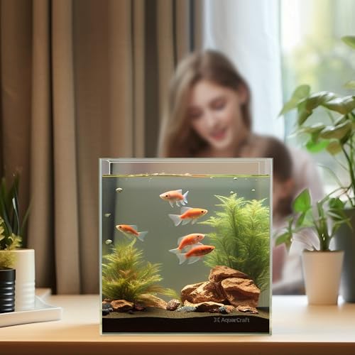 Image of 4.1 Gallon Rimless Aquarium, Ultra Clear Low Iron Cube Tank | 6mm low iron glass, 10 x 10 x 10 in cube design for aquascaping, betta fish, shrimp tanks and planted setups
