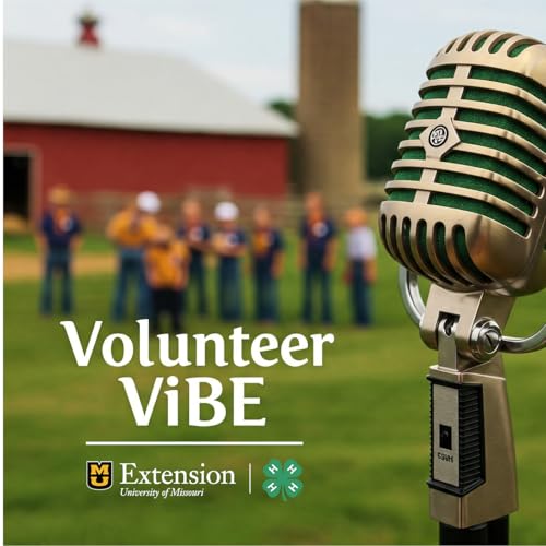 4-H Volunteer Vibe cover art