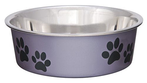 Loving Pets Bella Dog Bowls- Stainless Steel Dog & Cat Bowls - Spill Proof Dog Food Bowl, Cat Bowl, Puppy Essentials & Pet Supplies Great for Home & Travel (Small 10-20 lbs, Grape)