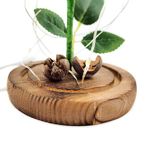 Jieway A Bela e a Fera Rosa Encantada Flor Rosa em uma Cúpula de Vidro com Luz LED USB Base de Madei