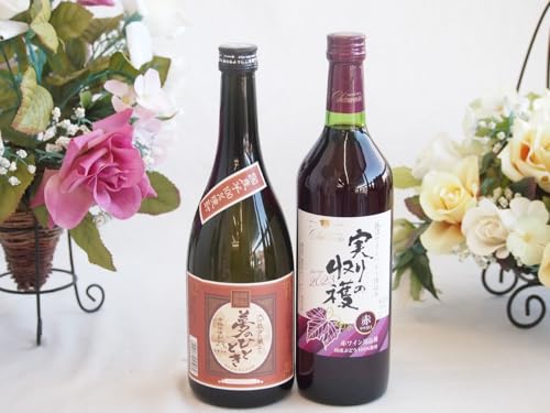 v~AȈĒƍYCZbg(̎n ԃC Ì(R)720ml啪𑢖̂ЂƂƂ23°720ml