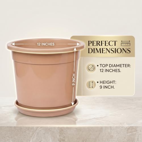 Image of 12 Inch Glossy Dune Beige Plastic Planter with Bottom Plate | Heavy Duty Flower Pot with Tray for Indoor Home Decor, Balcony, Living Room & Outdoor Garden (3 Pot, Dune Beige)