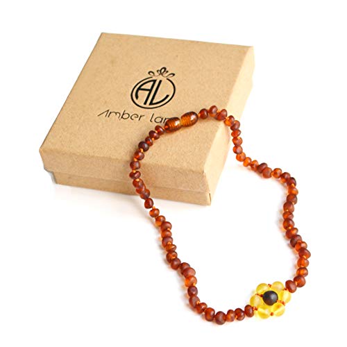 Amber Land Frosted Genuine Baltic Amber Necklace Unique Design Gift Set for Unisex ?12.5 inch?Certificated Natural Baltic Amber