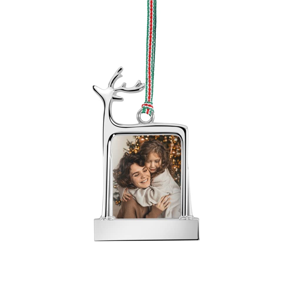 Newbridge Silverware FN6447 Reindeer Photoframe Decoration