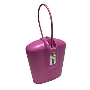 Portable Indoor/Outdoor Lock Box Safe with Key and Combination Access (Pink)