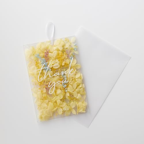 hikkaiqbJjyKizbZ[WJ[h Ԃт Thank youbZ[WiCG[j t ͂Ȃ sv { vU[uht[ hCt[ Mtg v[g  ̓ Ki