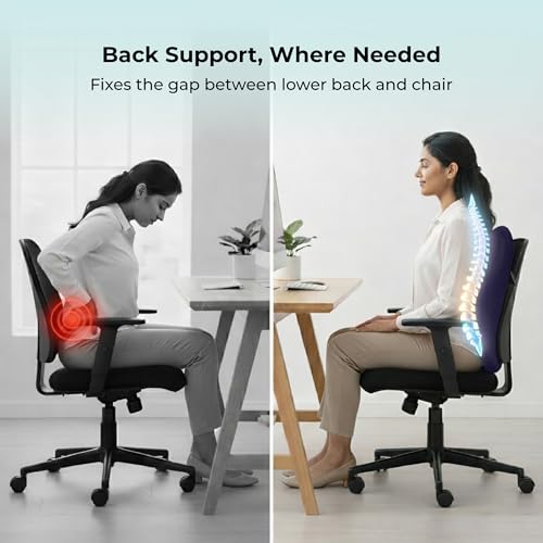 Image of Back Support for Office Chair | 5-Year Warranty | Premium Memory Foam Lumbar Support Pillow | Orthopedic Backrest for Lower Back Pain Relief | Ergonomic Desk Chair & Car Cushion (Large)(Blue)