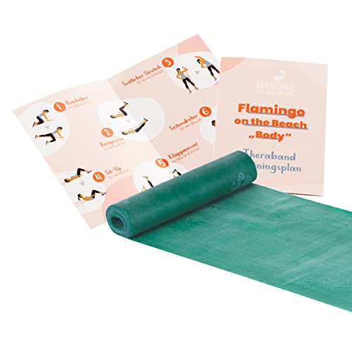 Original Thera-Band Set - Gymnastikband für Fitnessübungen und Physiotherapie - inkl. Trainingsplan - 1 x Theraband Grün 2,5m - Widerstand: Stark - FLAMINGO ON THE BEACH Cover