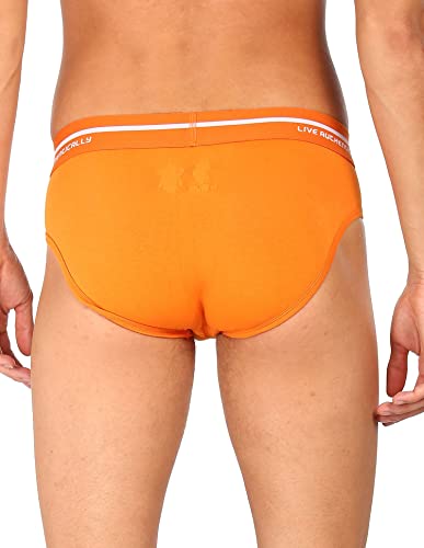 Image of U.S. Polo Assn. Men Logo Waistband Cotton Stretch IYAH Briefs - Pack of 2