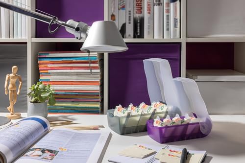 HAN Lernkarteibox CROCO, einfach Vokabeln lernen mit 5-Fächer-Lernsystem, DIN A8 Karteikasten für 500 Karten, inkl. 5 Stützplatten + 100 Lernkarten, Karteibox, Lernbox, 998-663, transluzent/pink