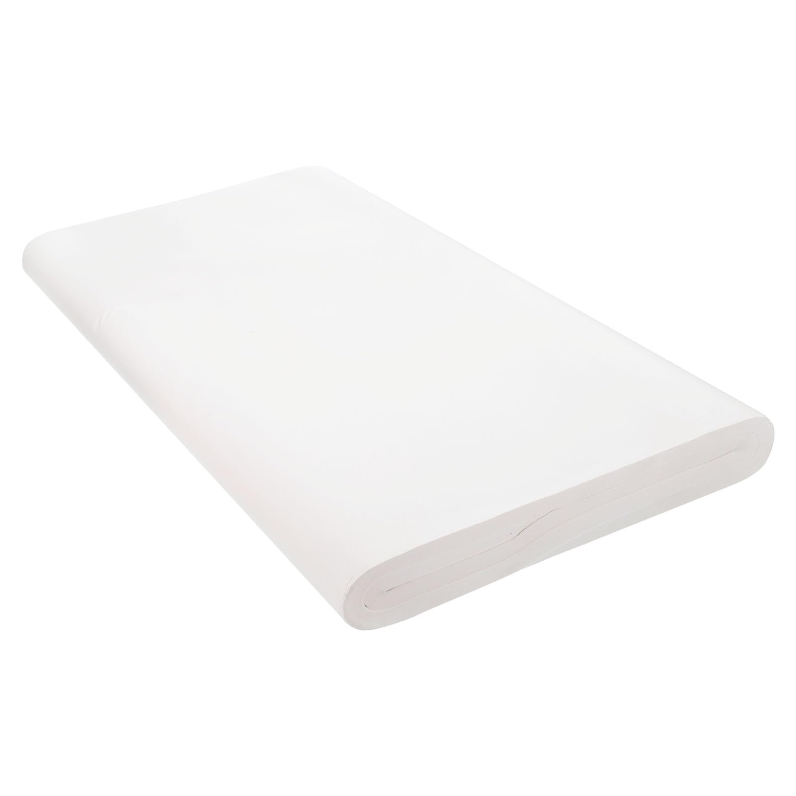 PATIKILXuan Paper, 100 Sheets Rice Paper Without Grid, Chinese Calligraphy Practice Paper for Calligraphy Practice, Beginner, Raw Xuan, 20"x39", White