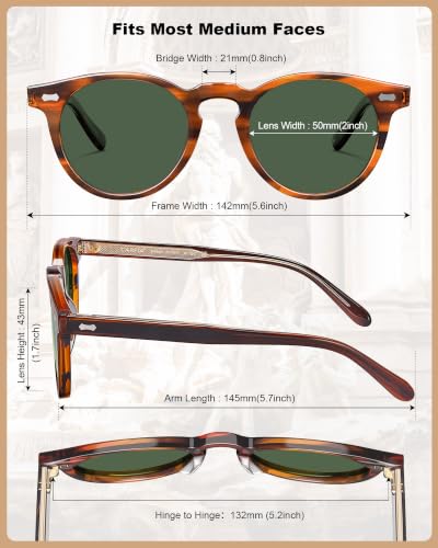 Image of CARFIA Retro Acetate Polarized Sunglasses for Men UV400 Protection, Round Shades with Gold Filigree CA5506