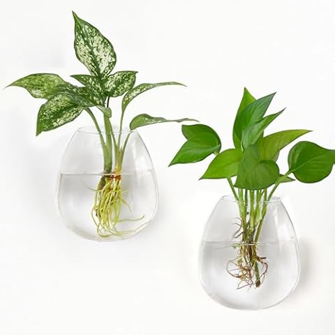 Dahey Glass Wall Hanging Planters Cover