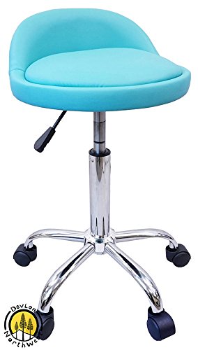 DevLon NorthWest Salon Stool with Back Rest Saddle Hydraulic Spa Stool (TURQUOISE)