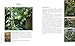 The Regenerative Garden: 80 Practical Projects for Creating a Self-sustaining Garden Ecosystem
