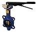 Dixon BFVW200 Wafer Style Butterfly Valve, Buna Liner, Stainless Disc, 2"