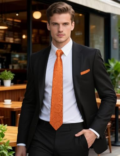 Image of Barry.Wang Paisley Tie for Men Silk Woven Necktie and Tie Clip Set Wedding Party Business Formal