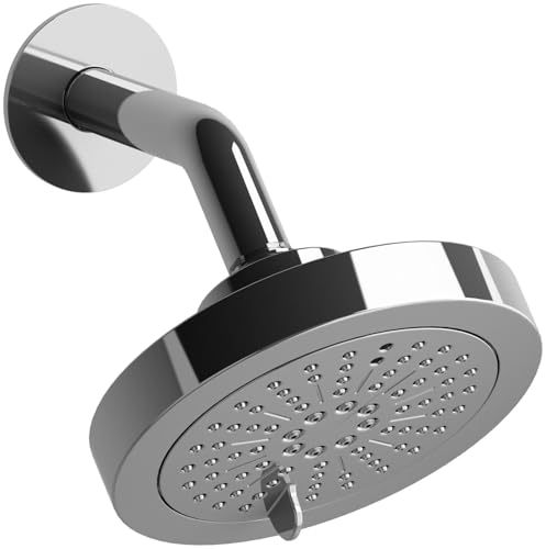 Cabezal de ducha con brazo y 2 jets