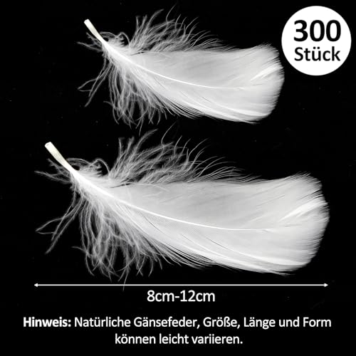 Federn zum Basteln, 300 Stück Natürliche Weiße Bastelfedern 8-12cm, Feder für Traumfänger, Hochzeit Deko, Fasching, Ostern, Masken, Schulhandwerk