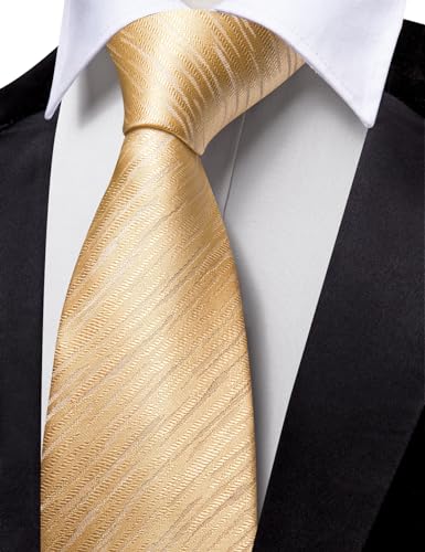 Image of Barry.Wang Silk Men Ties Formal Stripes Necktie and Tie Clip for Wedding Party Business Fashion Classic