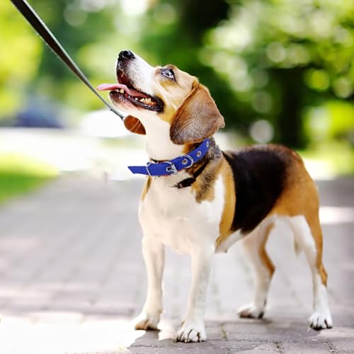 Collar para mascotas ajustable azul pequeño de poliéster miniatura 4