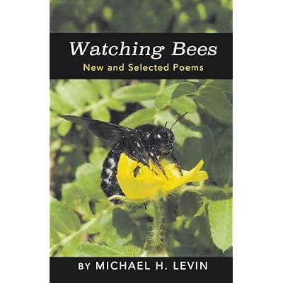 Watching Bees