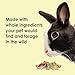 Kaytee Food from The Wild Natural Pet Rabbit Food, 4 Pound