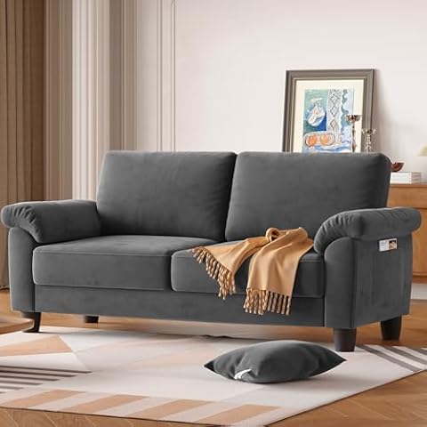 70" Living Room Couch Sofa, Mid Century Modern Loveseat with Storage Bag, Velvet Deep Couches for Small Spaces, Bedroom, Apartment, Office, Removable Sofa Cover Spring Cushions, Easy to Install, Grey Cover